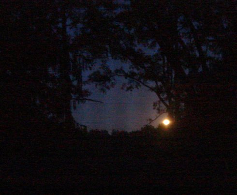 moon setting